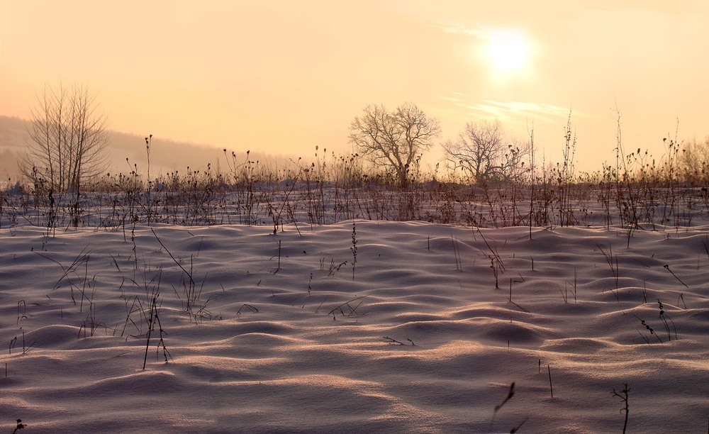 Фотографія Ще одно останнє про колишню зиму...) / Тома И. / photographers.ua