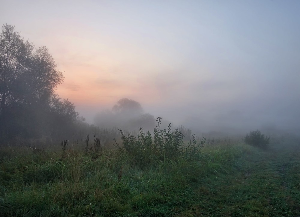 Фотографія Світанок в тумані / Тома И. / photographers.ua