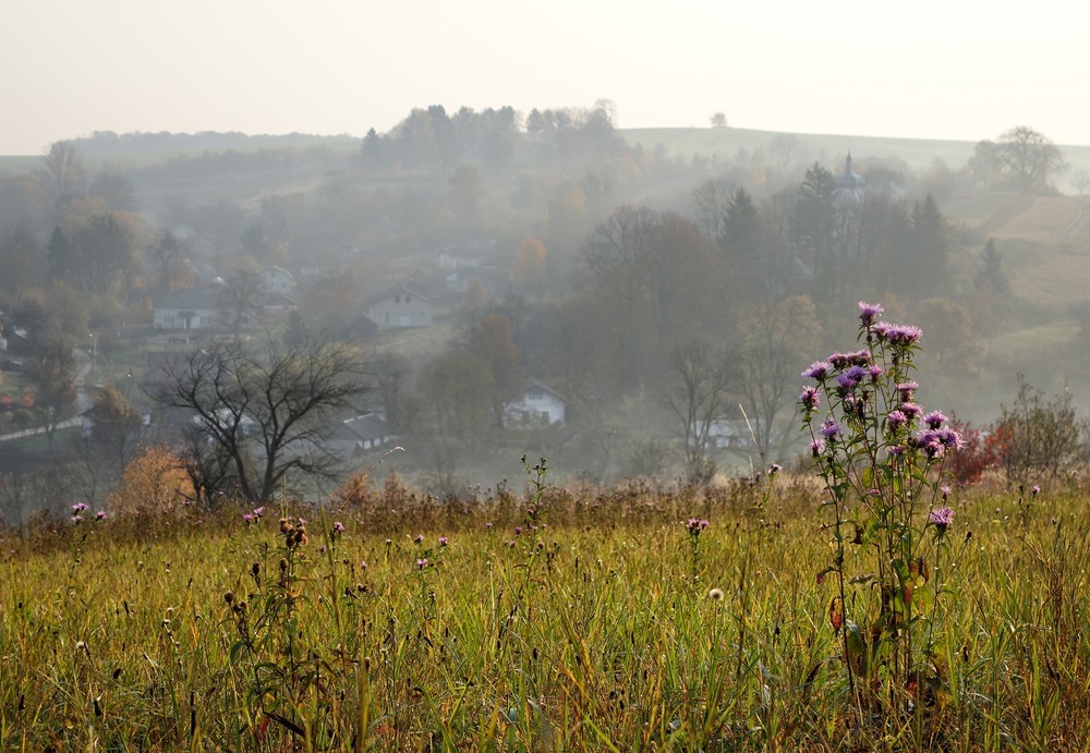 Фотографія Минулої осені / Тома И. / photographers.ua