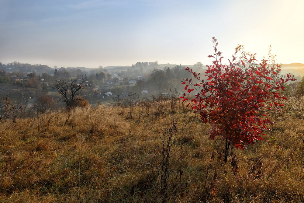 Фотографія Осінній ранок над селом / Тома И. / photographers.ua