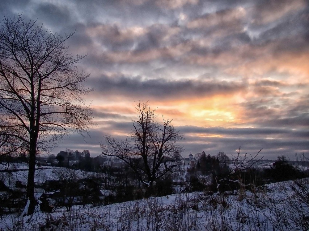 Фотографія Зимовим ранком / Тома И. / photographers.ua