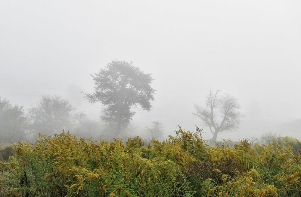 Фотографія Осінні тумани / Тома И. / photographers.ua