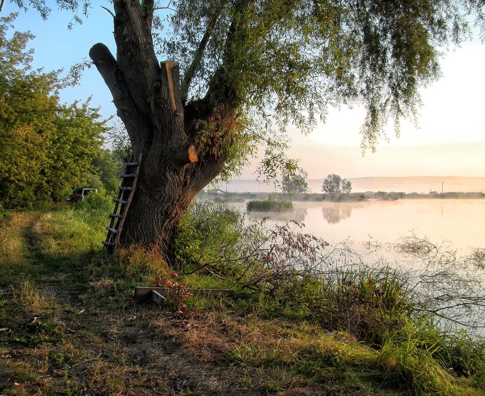 Фотографія Літній ранок / Тома И. / photographers.ua