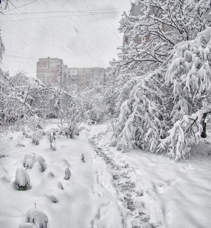 Фотографія Раптова зима у місті... / Тома И. / photographers.ua