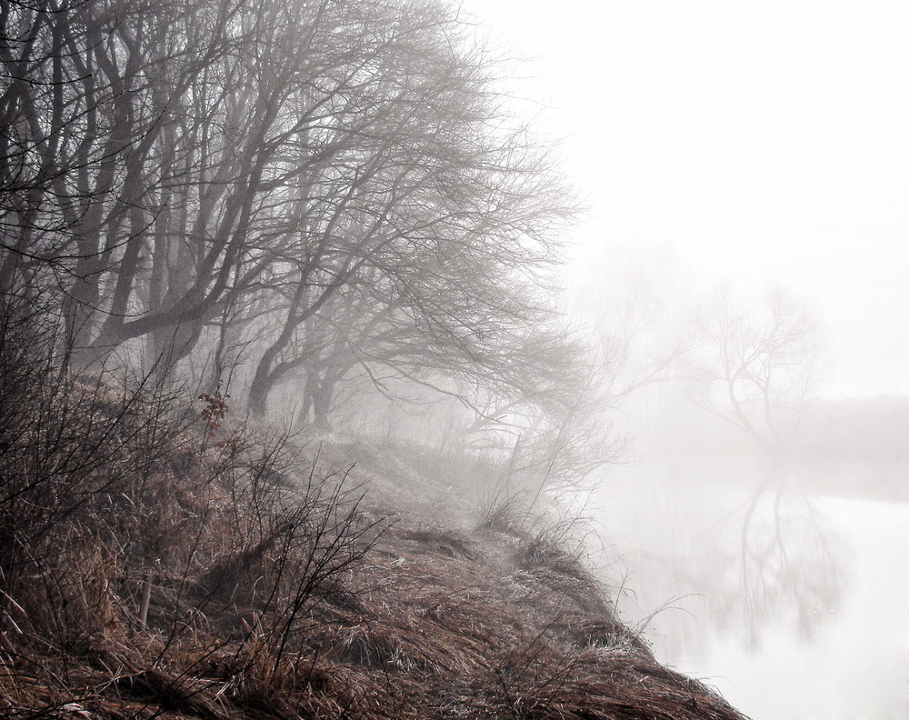 Фотографія Березневий туман / Тома И. / photographers.ua
