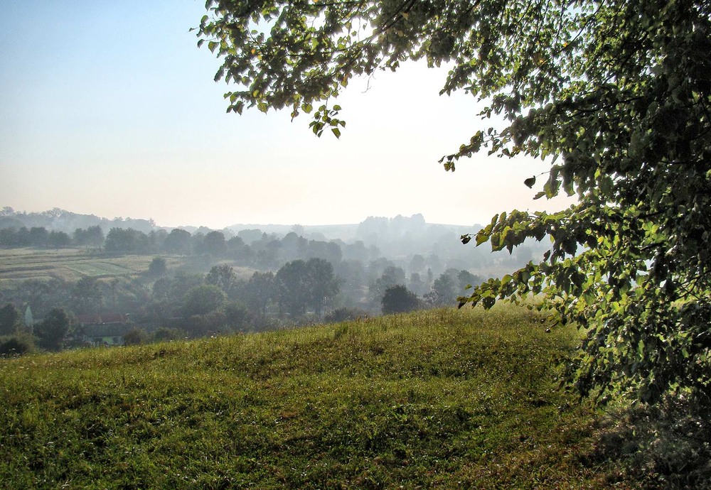 Фотографія Озирнулась заходячи в ліс... / Тома И. / photographers.ua