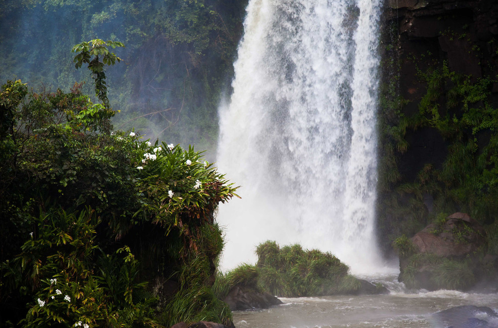 Фотографія Южная Америка Водопады  Игуассу Жизнь подле водопада / Таймас Нуртаев / photographers.ua