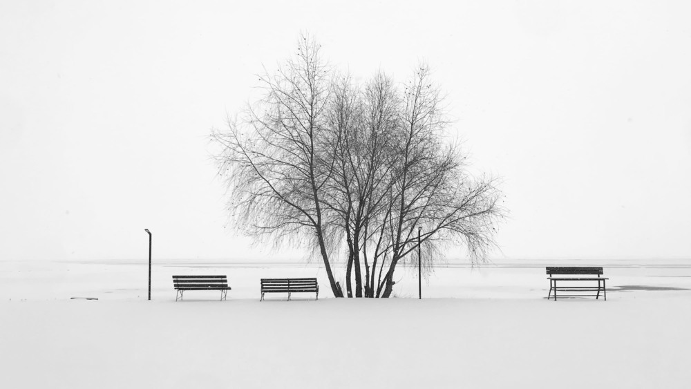 Фотографія зимове море / mitch / photographers.ua
