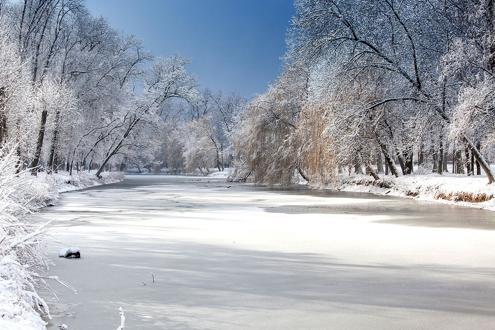 Фотографія Зимнее утро в парке / Олег Товкач / photographers.ua