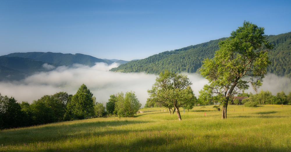 Фотографія Карпати / Назар Рябуха / photographers.ua
