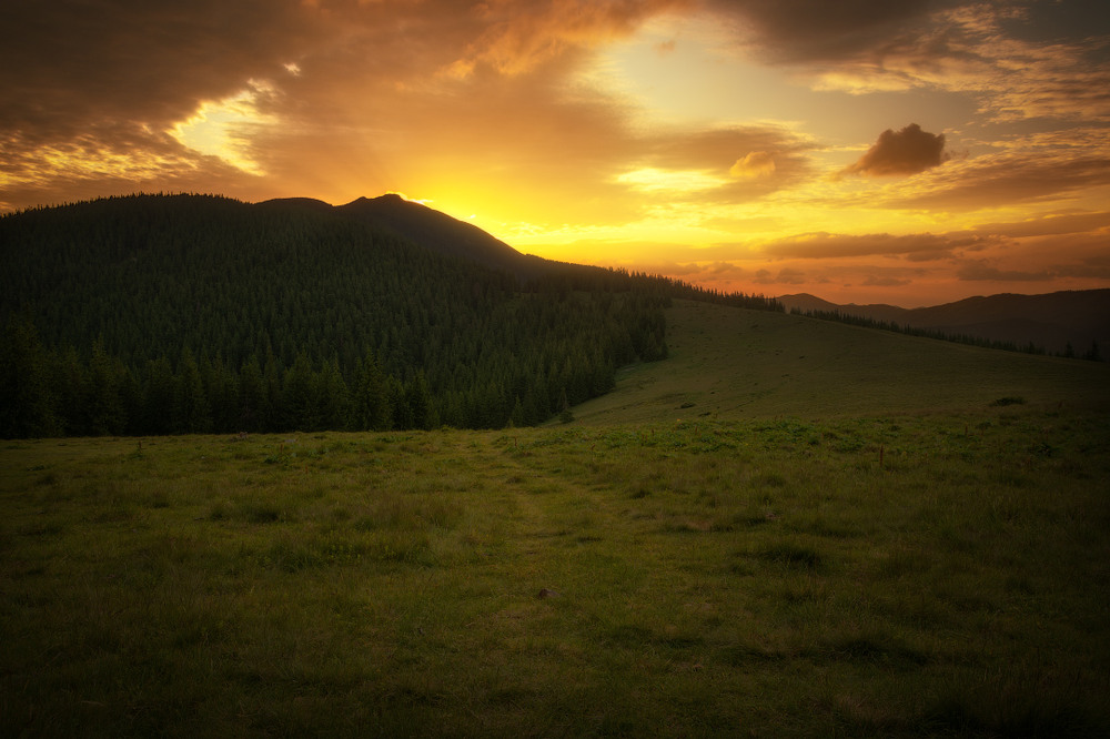 Фотографія Гора "Синяк" / Назар Рябуха / photographers.ua