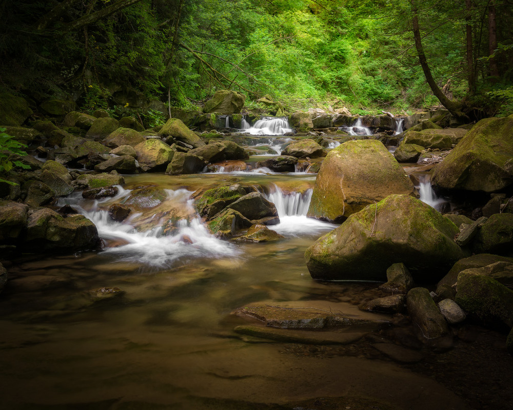 Фотографія Карпати / Назар Рябуха / photographers.ua