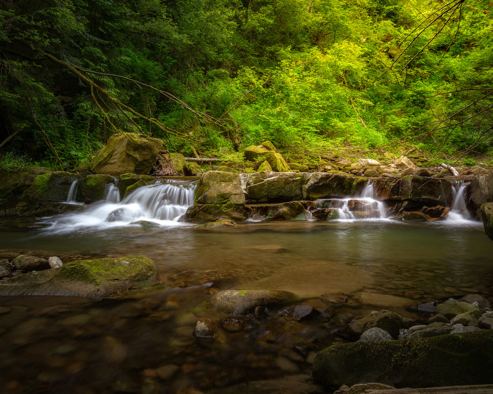 Фотографія Карпати / Назар Рябуха / photographers.ua