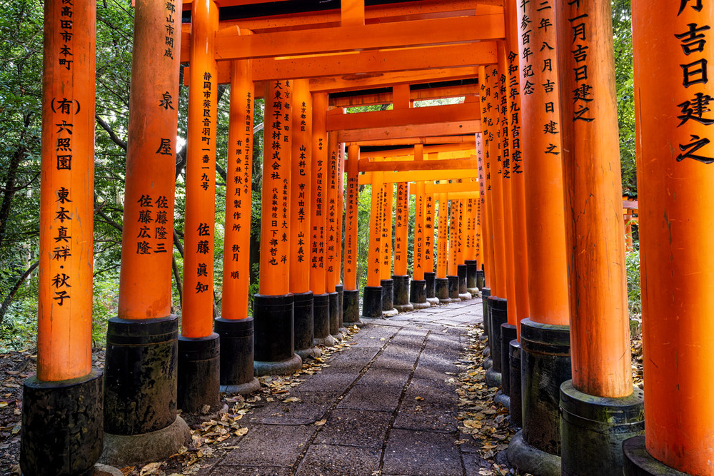 Фотографія Kyoto Gates / Vladimir Lutsenko / photographers.ua
