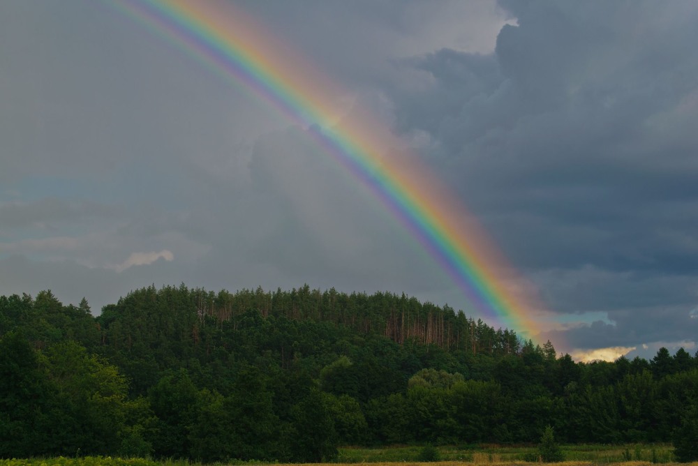 Фотографія Веселка под лісом / Arthur Tkanko / photographers.ua