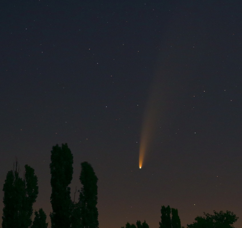Фотографія Залетевшая к нам из глубин космоса C/2020 F3 (NEOWISE) / Егор Степанович / photographers.ua