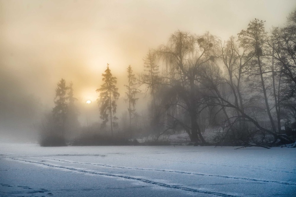 Фотографія морозное утро / Юрий Иванов / photographers.ua