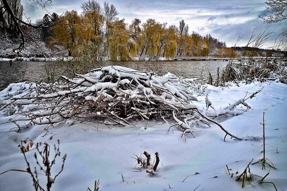 Фотографія зима уже скоро / Юрий Иванов / photographers.ua