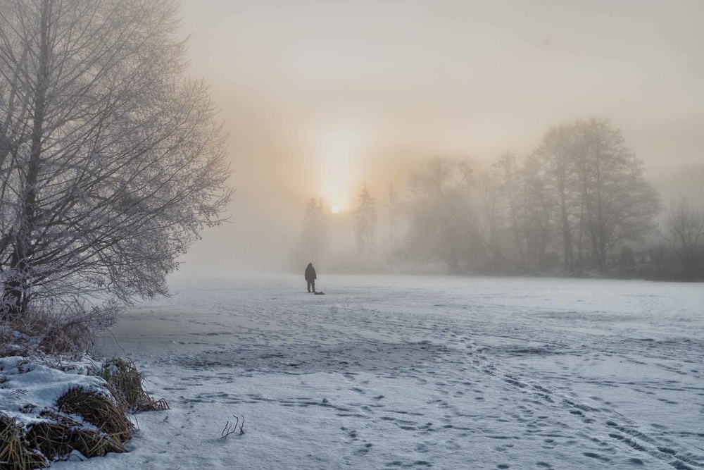 Фотографія зимнее туманное утро / Юрий Иванов / photographers.ua