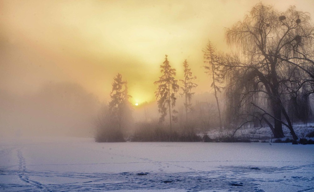 Фотографія морозное утро / Юрий Иванов / photographers.ua