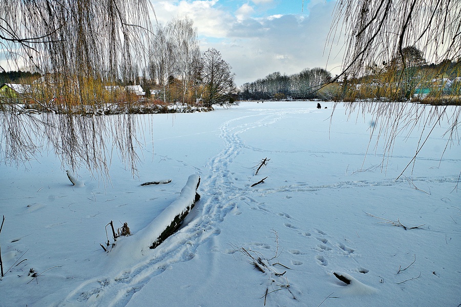 Фотографія зима / Юрий Иванов / photographers.ua