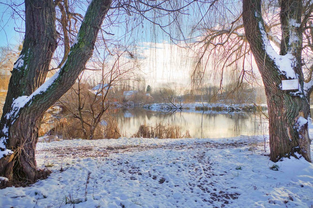 Фотографія начало зимы / Юрий Иванов / photographers.ua
