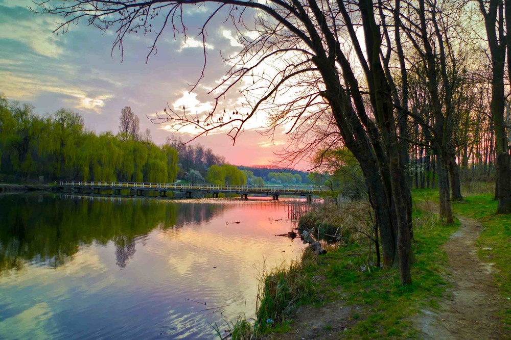 Фотографія весеннее утро на озере / Юрий Иванов / photographers.ua