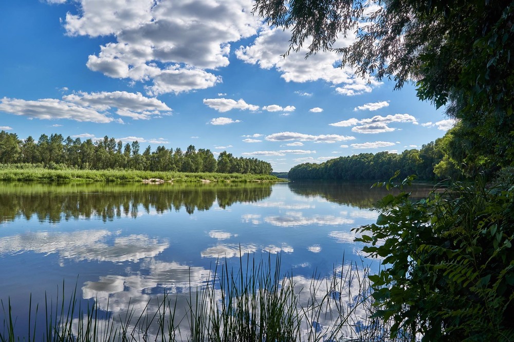 Фотографія Речка Десна / Михайло Морокін / photographers.ua