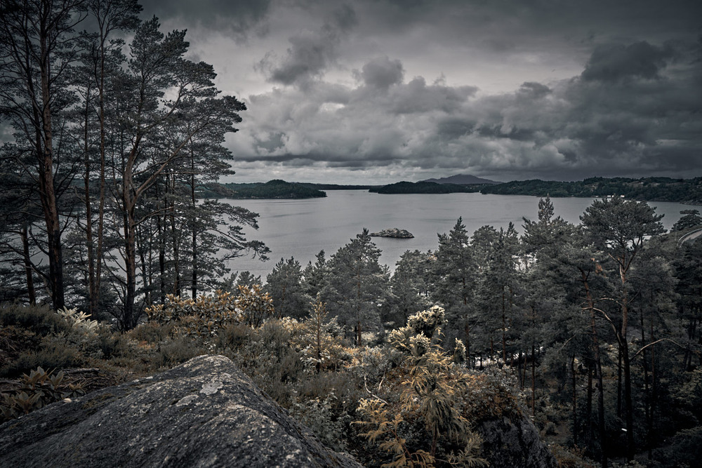 Фотографія Норвезький ліс / Михайло Морокін / photographers.ua