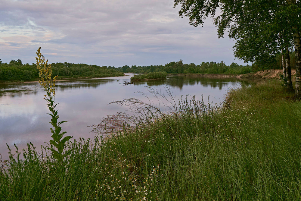 Фотографія Десна / Михайло Морокін / photographers.ua