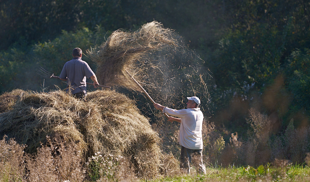 Фотографія Жанр / Михайло Морокін / photographers.ua