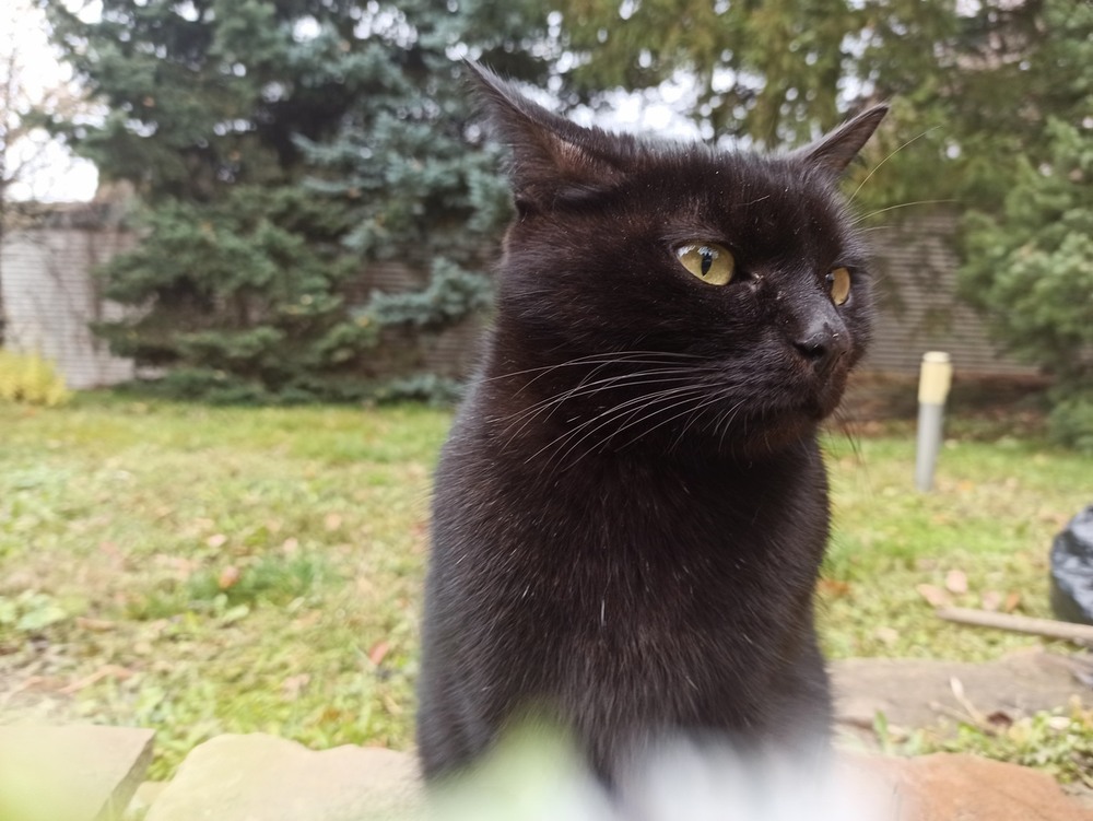 Фотографія "Пірат". / Павло Філіпенков / photographers.ua