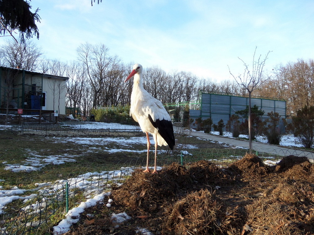 Фотографія На зимовці.. / Павло Філіпенков / photographers.ua