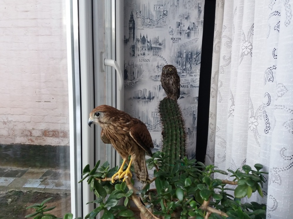 Фотографія Посиділки "друзів"... / Павло Філіпенков / photographers.ua