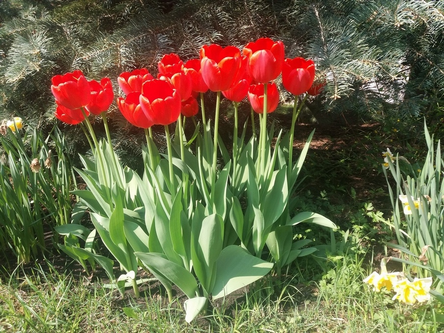 Фотографія Весняні.. / Павло Філіпенков / photographers.ua