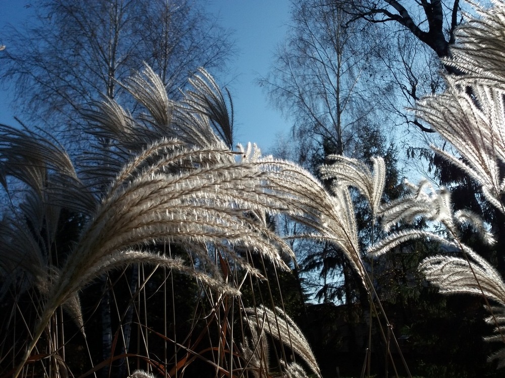 Фотографія *** / Павло Філіпенков / photographers.ua