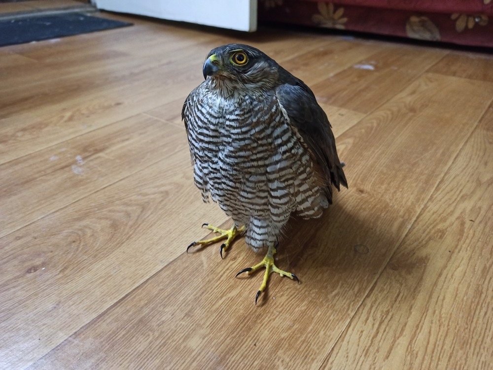 Фотографія Думками ми вже на волі.. / Павло Філіпенков / photographers.ua