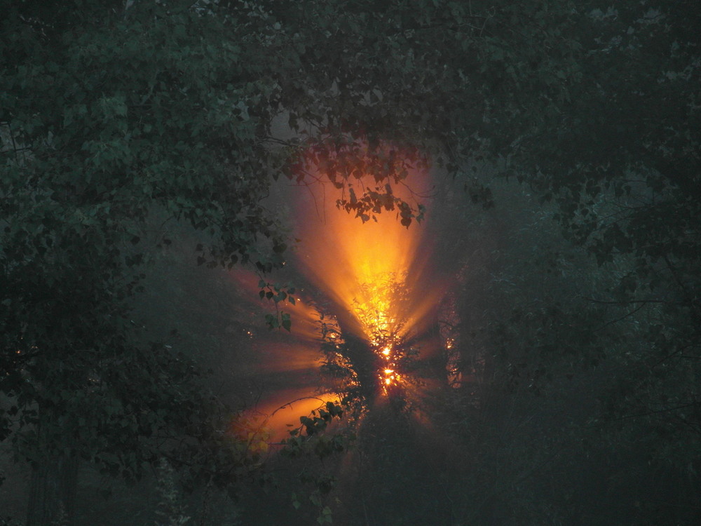 Фотографія Сонячні промені.. / Павло Філіпенков / photographers.ua