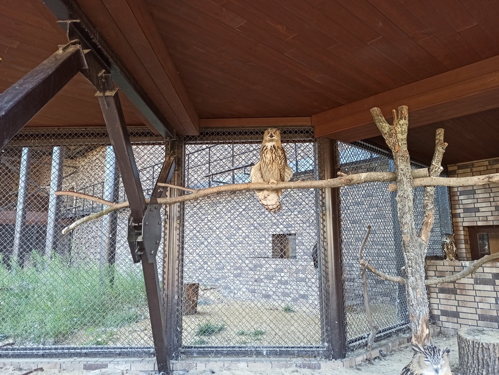 Фотографія Потягуськи... / Павло Філіпенков / photographers.ua