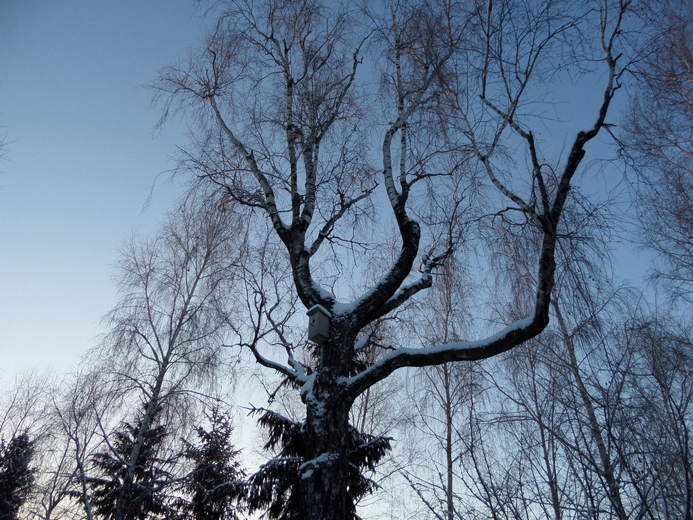 Фотографія *** / Павло Філіпенков / photographers.ua