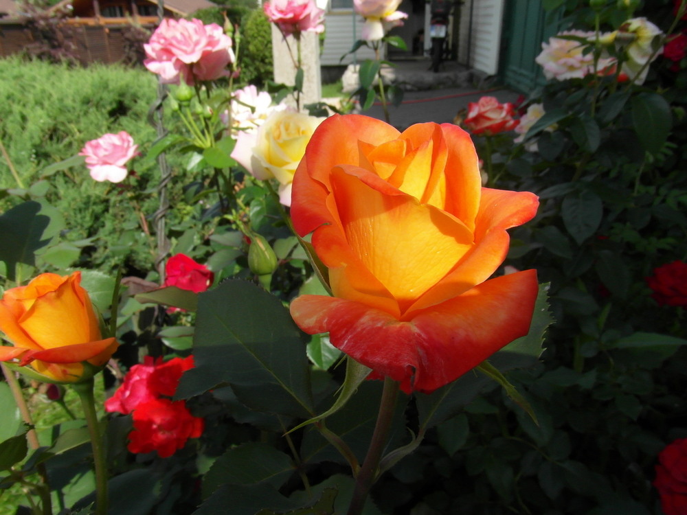 Фотографія Ранкове пробудження.. / Павло Філіпенков / photographers.ua