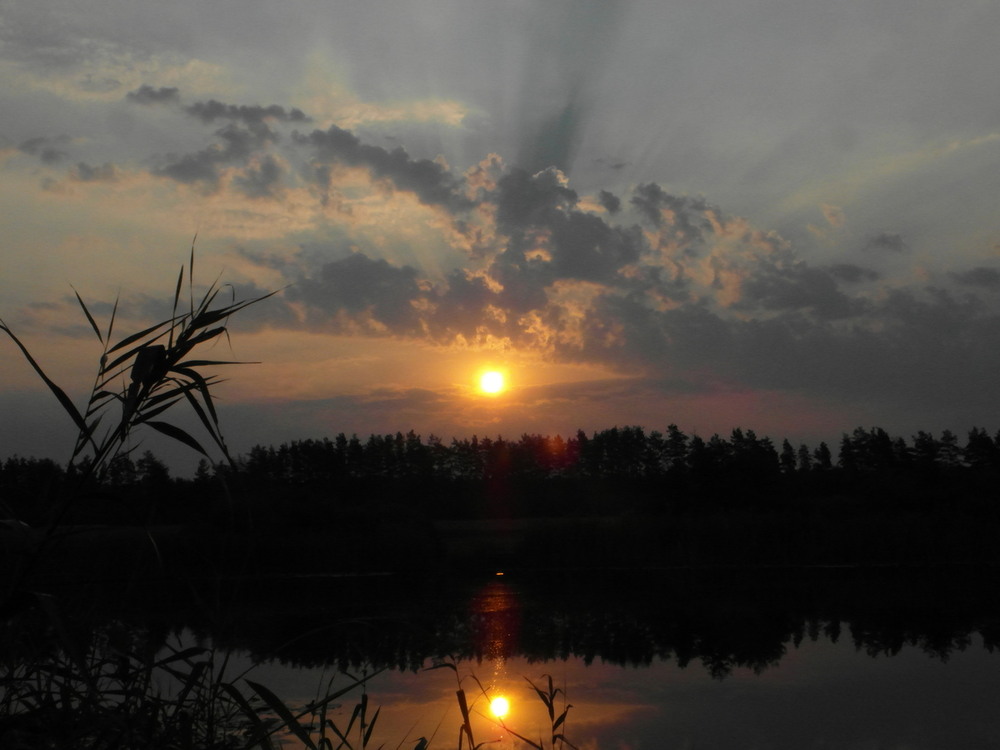 Фотографія Пробудження.. / Павло Філіпенков / photographers.ua