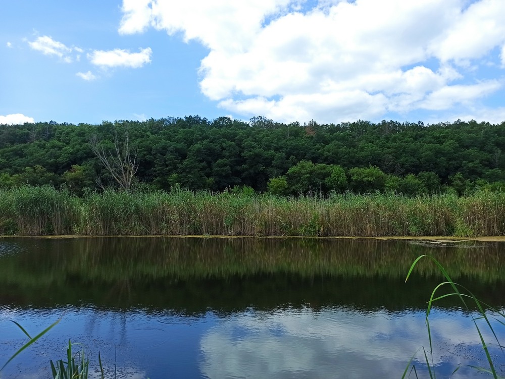 Фотографія Річкова тиша.. / Павло Філіпенков / photographers.ua