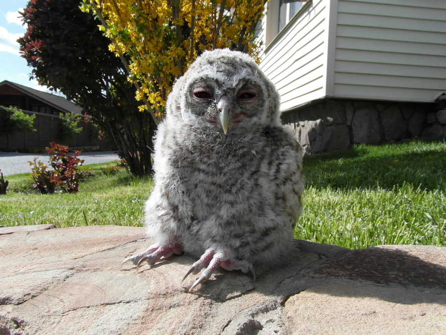 Фотографія Під ранковим сонечком.. / Павло Філіпенков / photographers.ua