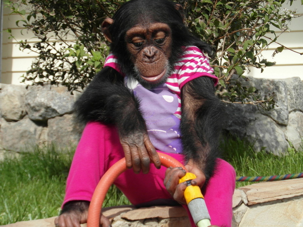 Фотографія Помічниця.. / Павло Філіпенков / photographers.ua