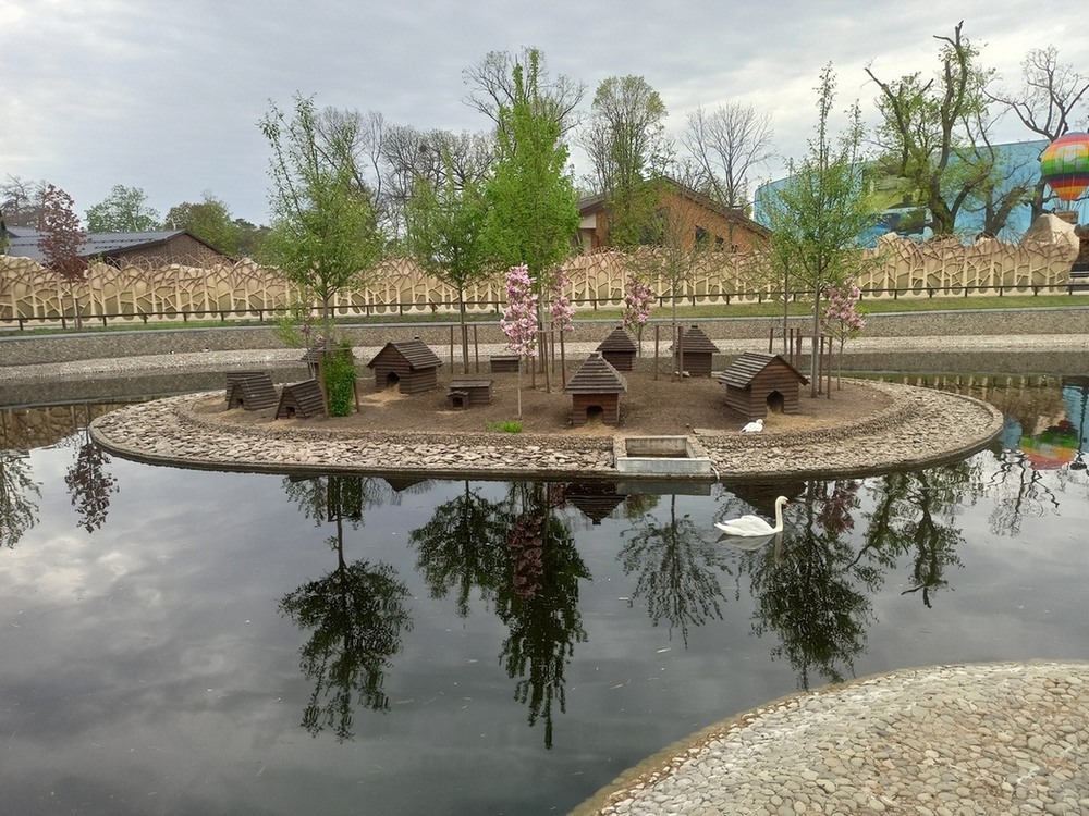 Фотографія Весняне пробудження,в Харківському зоопарку. / Павло Філіпенков / photographers.ua