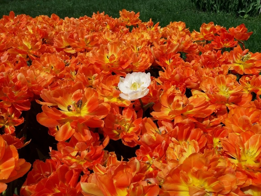 Фотографія *** / Павло Філіпенков / photographers.ua