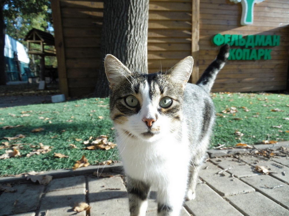 Фотографія Цікавість.. / Павло Філіпенков / photographers.ua