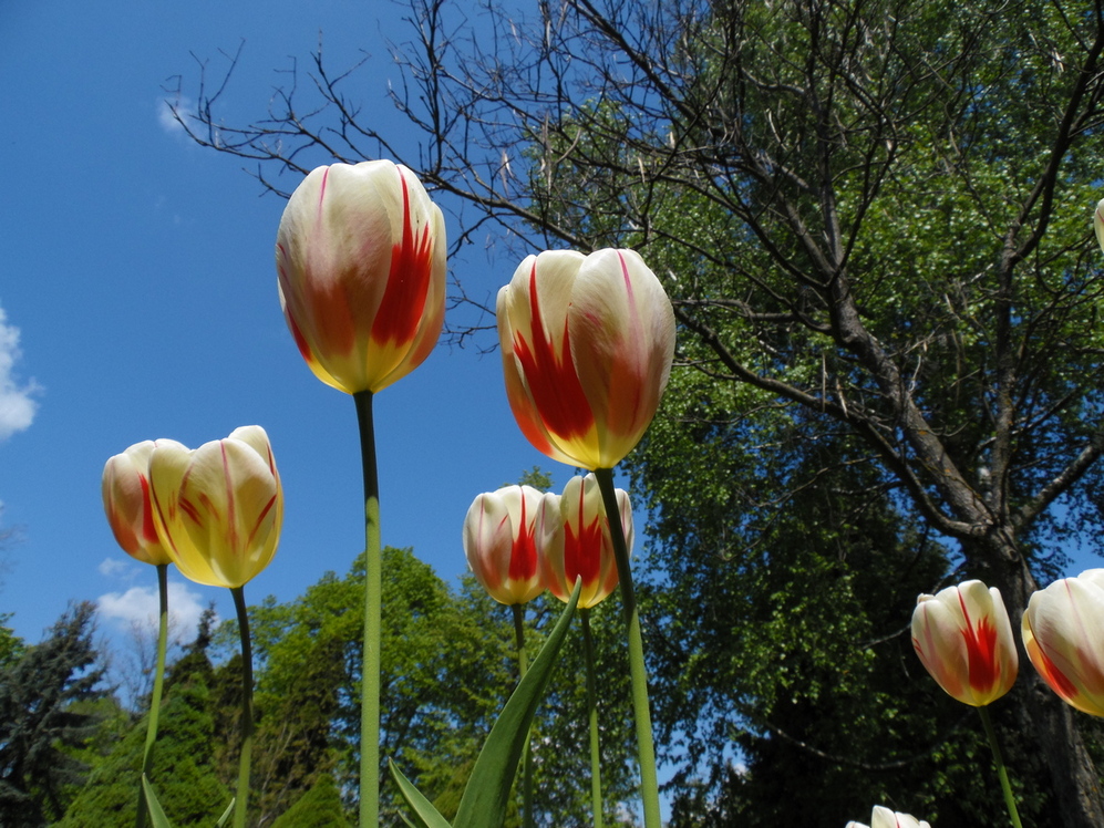 Фотографія Весняні.. / Павло Філіпенков / photographers.ua