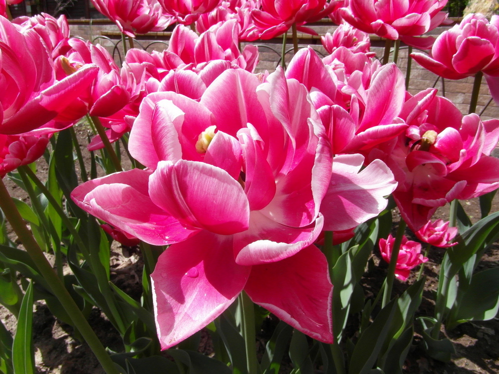 Фотографія Весна... / Павло Філіпенков / photographers.ua